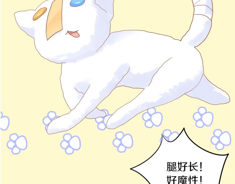 第195话  宠物毛毡56