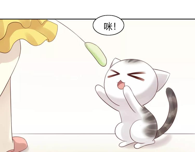 第47话 小可爱被送走了65
