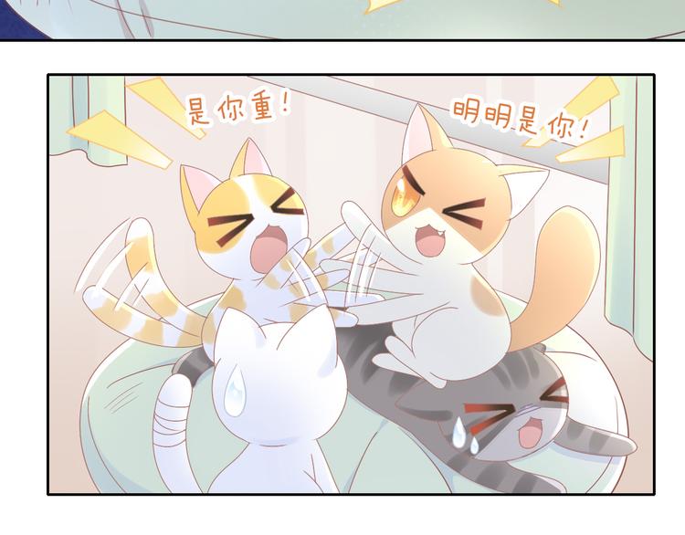 第181回  拿破仑11
