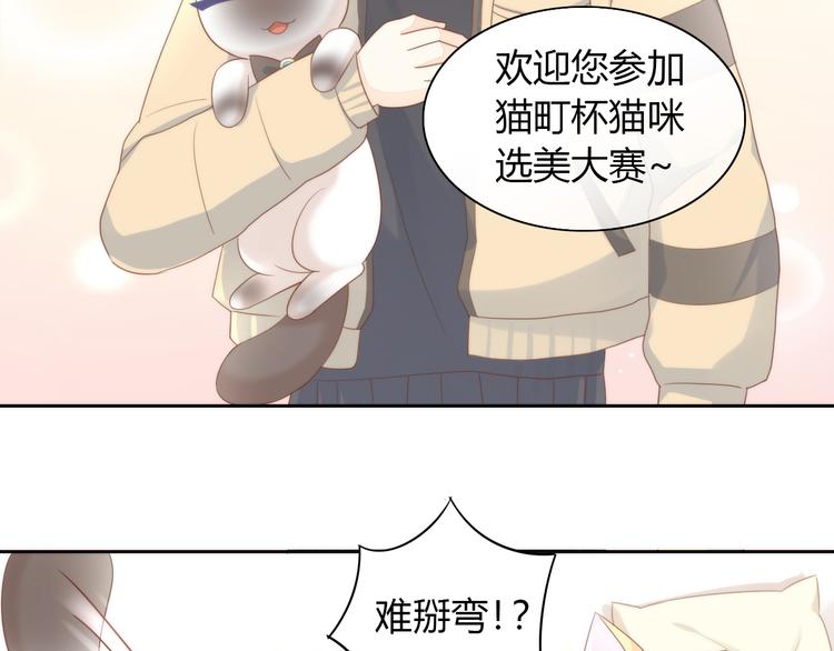 第76话 猫咪选美大赛19