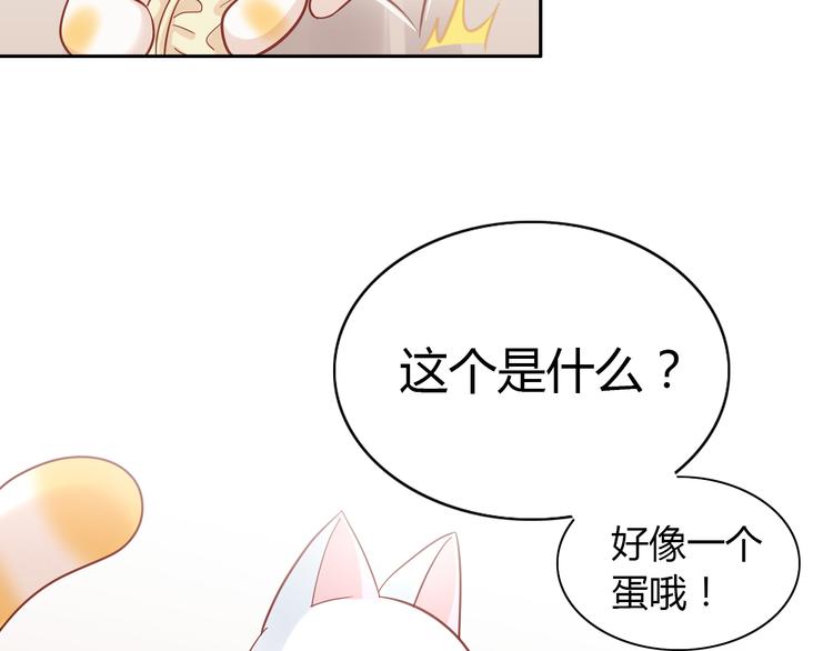 第137话  电子宠物26