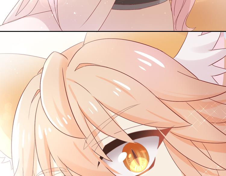 第178话 爆火视频10