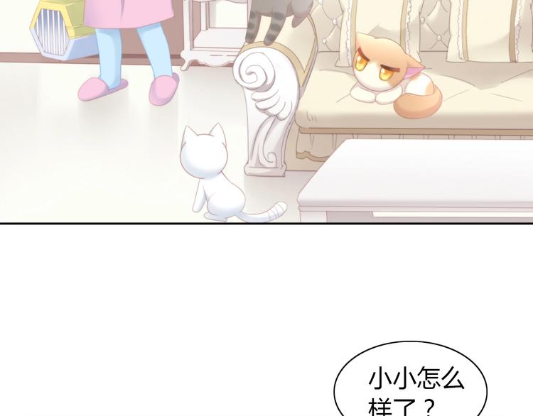第114话 猫咪也要刷牙！54