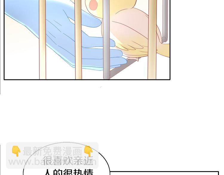 第143话 腮红鹦鹉57