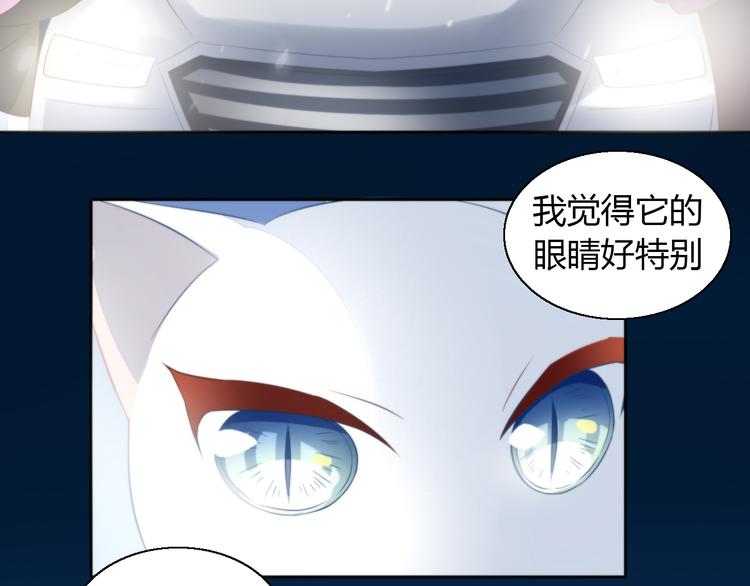 第71话 属于你的幸福8