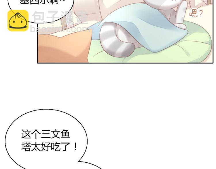 第127话 猫舍C位（三）47