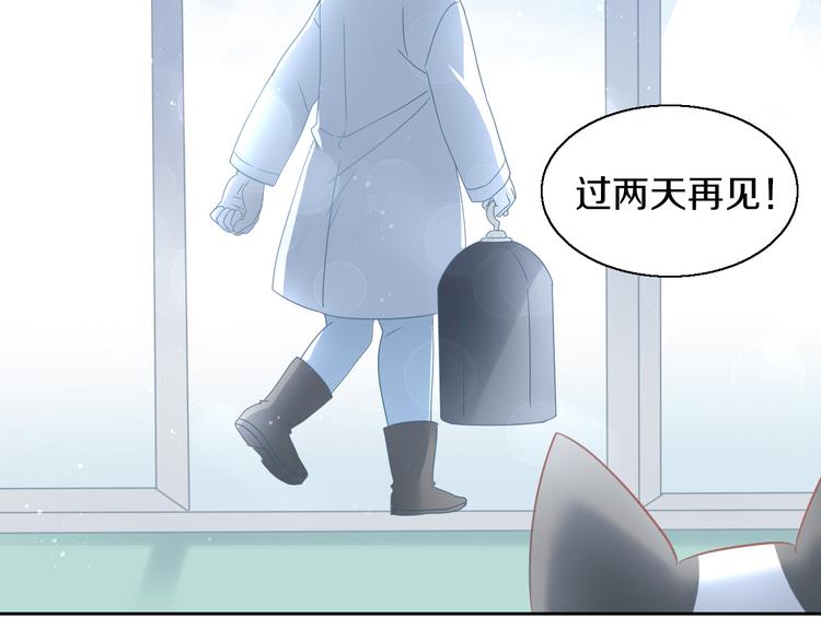 第143话 腮红鹦鹉30