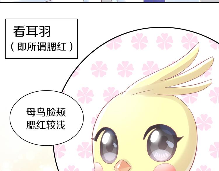 第170话 皮卡和小智28