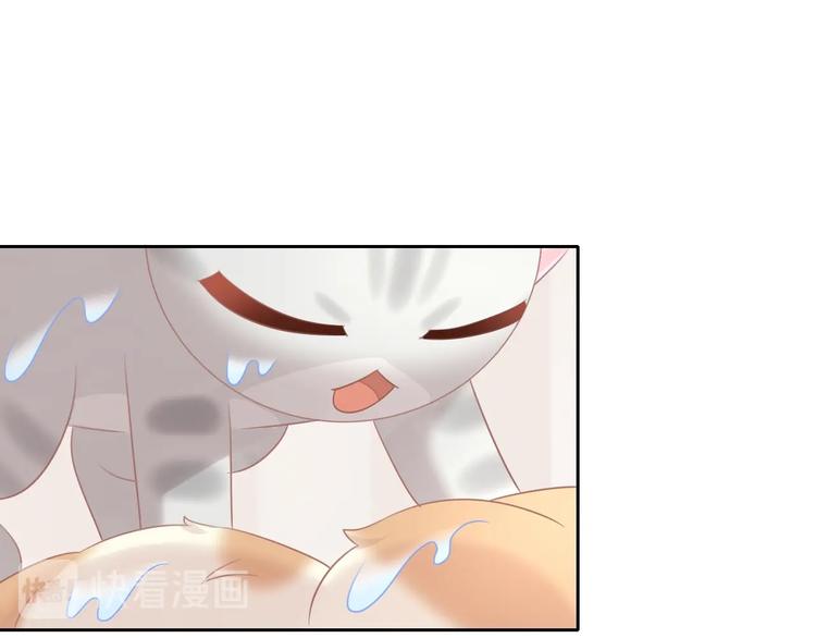 第128话 猫舍C位（四）76