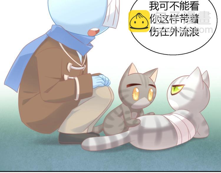第126话 猫舍C位（二）76