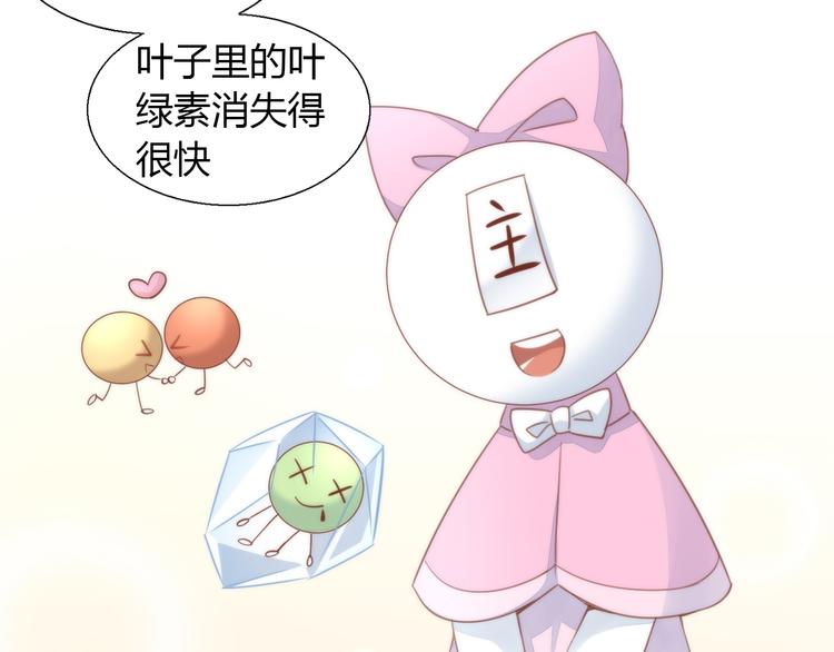 第75话 枫叶的传说11