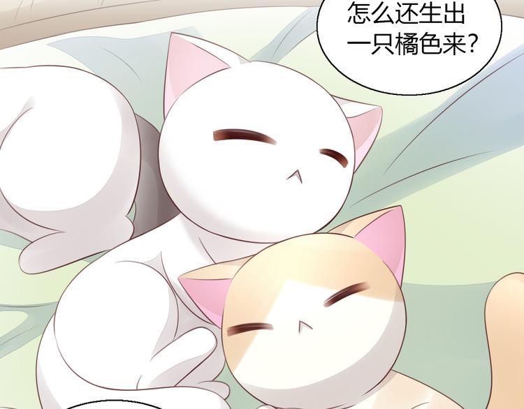 第59话 我们的相遇27