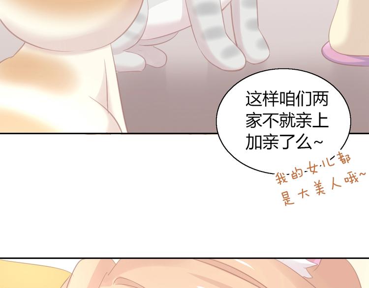 第130话 猫舍C位（六）77