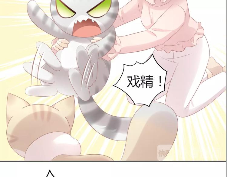 第125话 猫舍C位（一）48