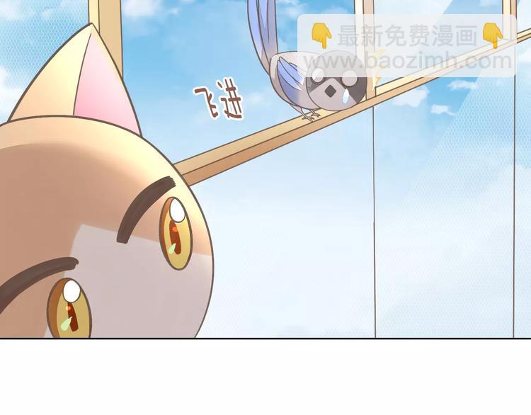 第39话 鸟妈妈的苦心83