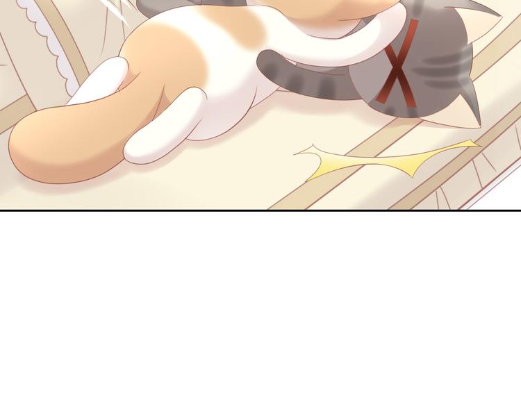 第154话 夏日大作战15