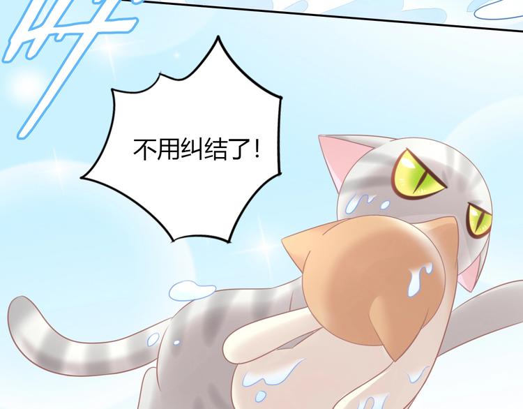 第128话 猫舍C位（四）73