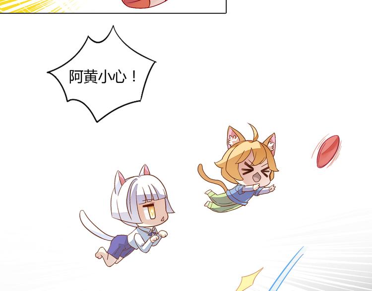 第1话  猫主子驾到！10