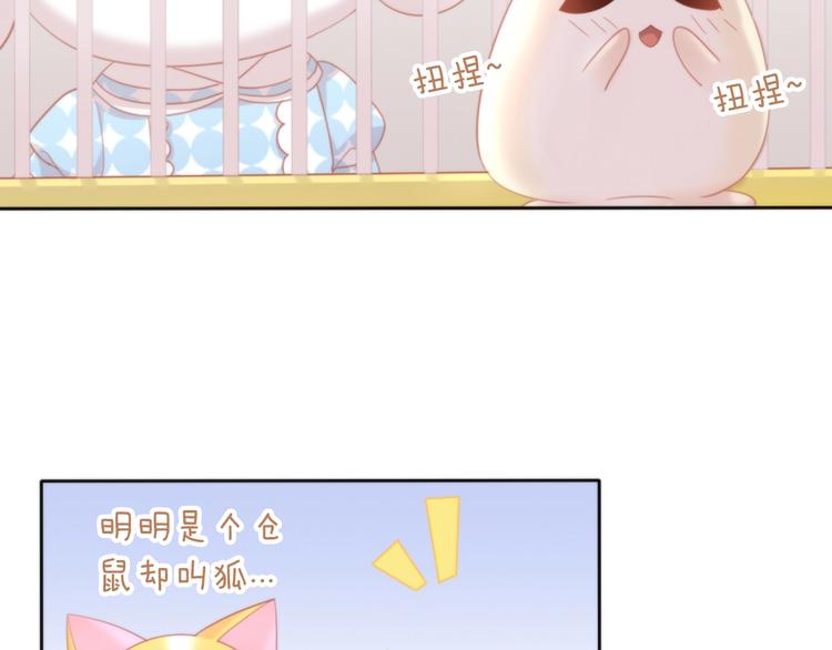 第108话 仓鼠也有梦想！54