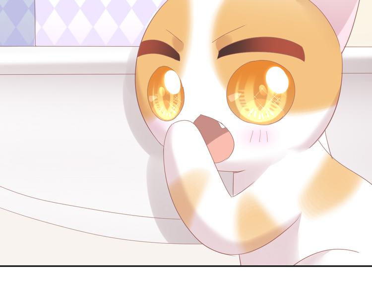 第167话 疯狂的蛋糕11