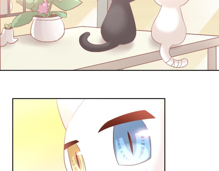 第100话 离开64
