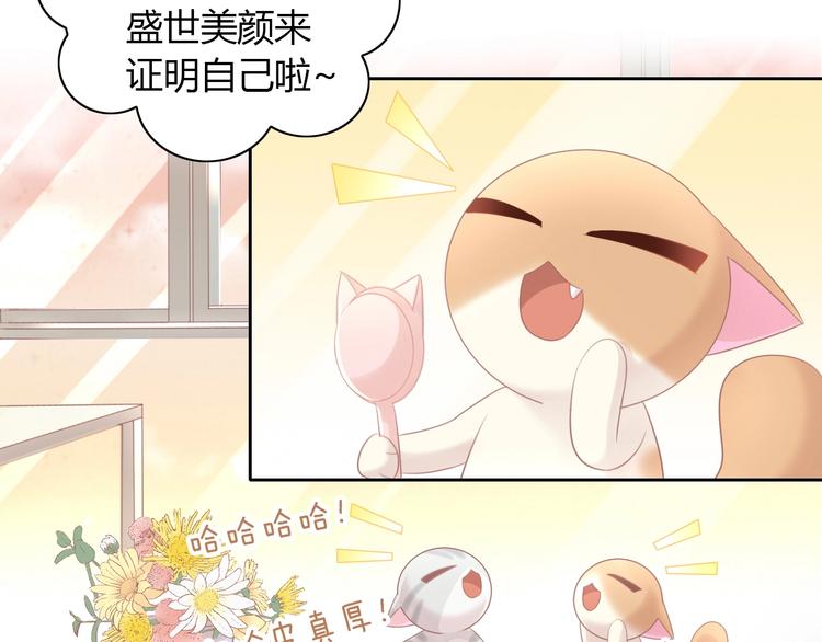 第129话 猫舍C位（五）75