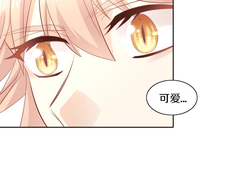 第146话 皮卡的梦想48