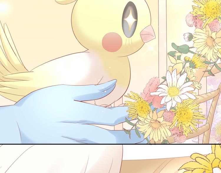 第147话 走花路吧！皮卡！66