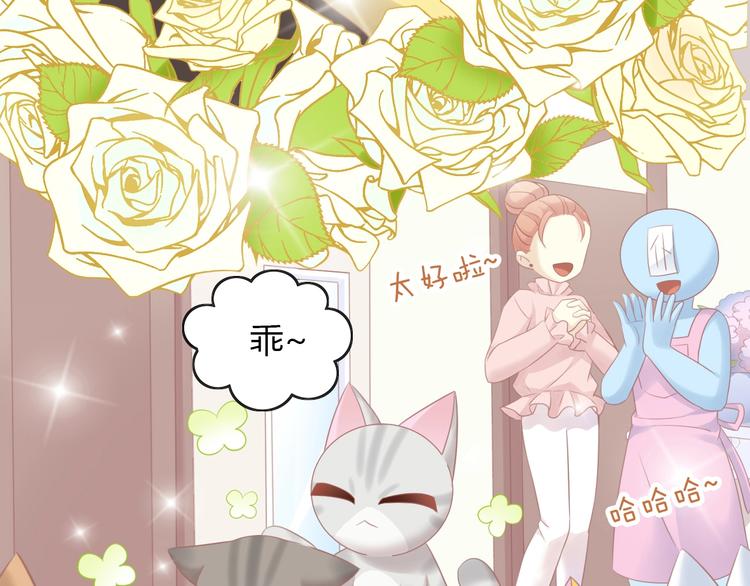 第130话 猫舍C位（六）90
