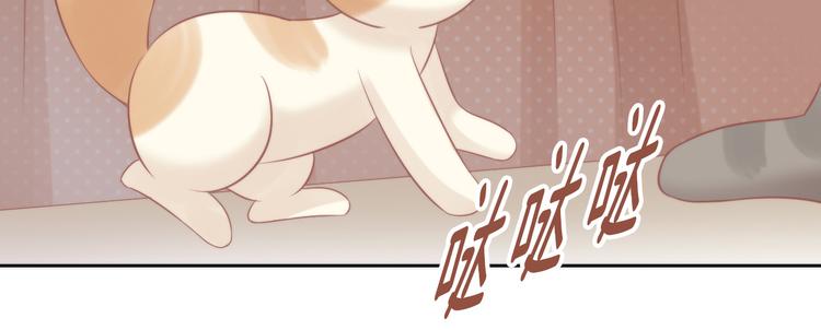 第79话 一只猫的战争61
