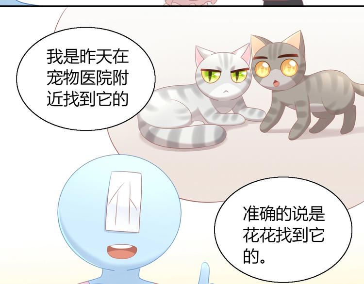第129话 猫舍C位（五）23