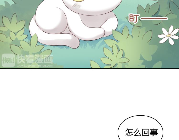 第57话 替代品43