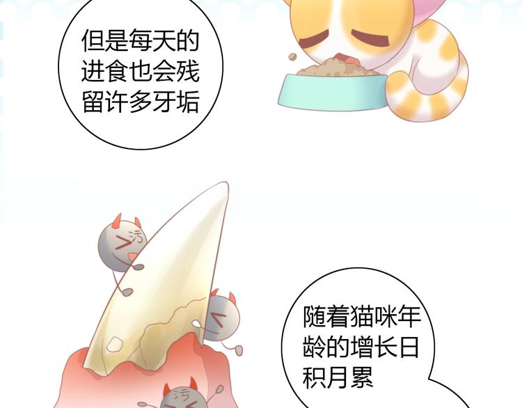 第114话 猫咪也要刷牙！31