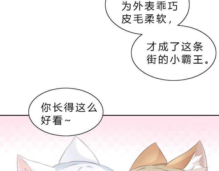 第61话 合作60