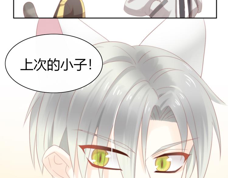 第78话 选美比赛60
