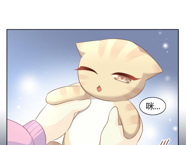 第71话 属于你的幸福14