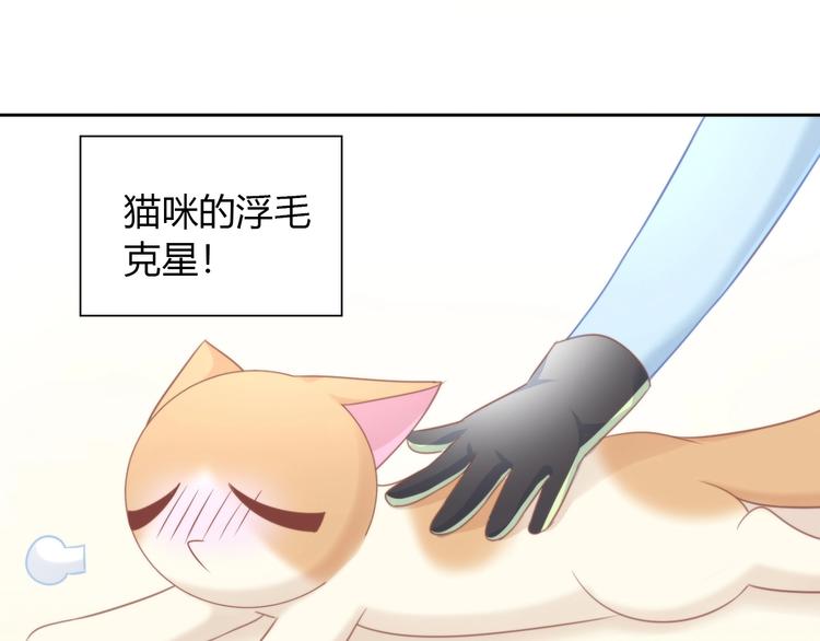 第93话 撸猫快乐成仙！46