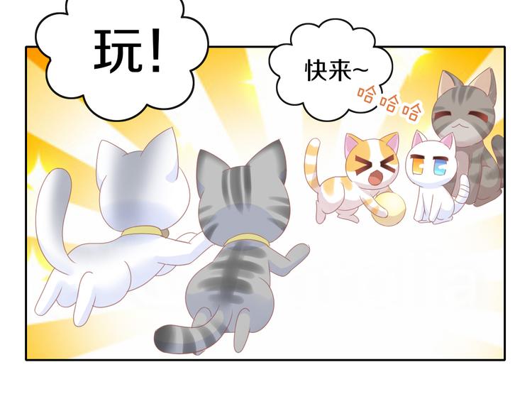 第173话 全员外宿50