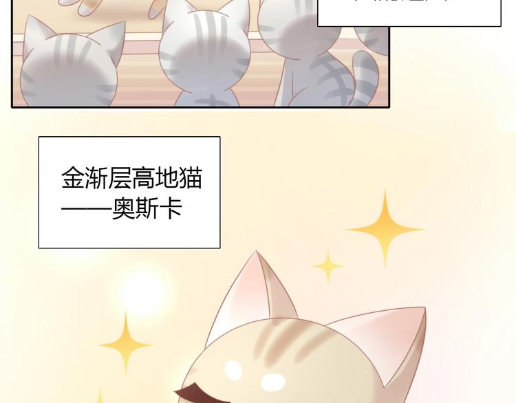 第125话 猫舍C位（一）12