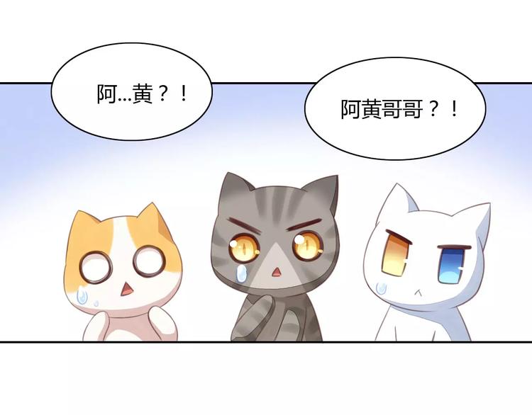 第14话  萌宠失踪29