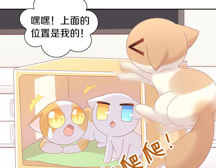 第187话 暖暖的窝43