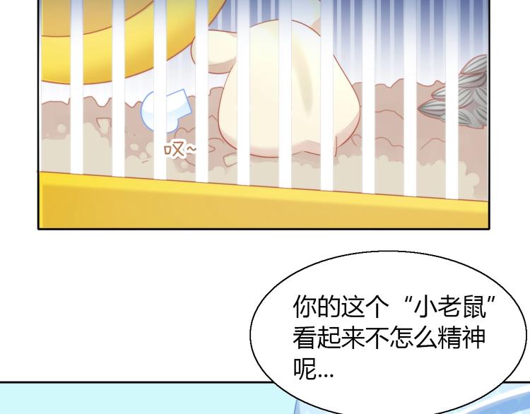 第108话 仓鼠也有梦想！37