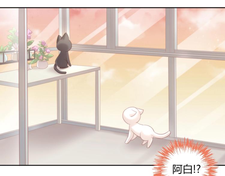 第99话 你们不要再那么亲密了76