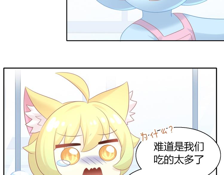 第130话 猫舍C位（六）41