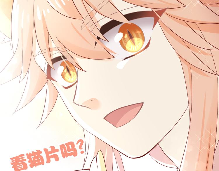 第178话 爆火视频103