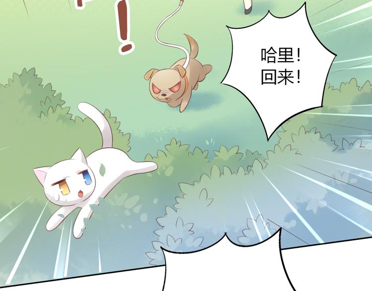 第57话 替代品46