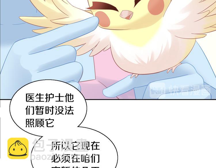 第143话 腮红鹦鹉62