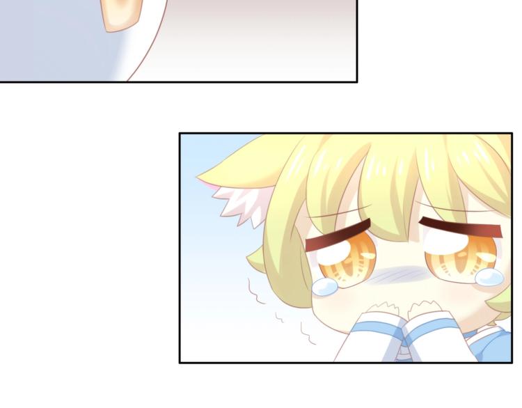 第114话 猫咪也要刷牙！74