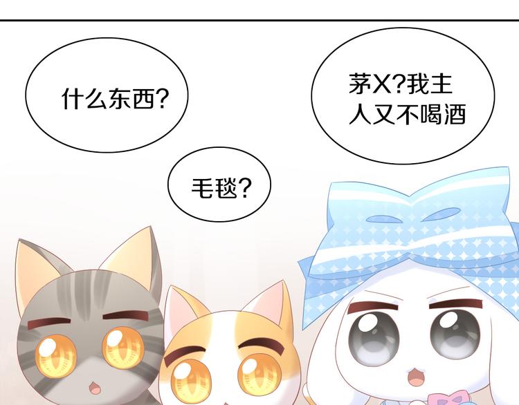 第195话  宠物毛毡17