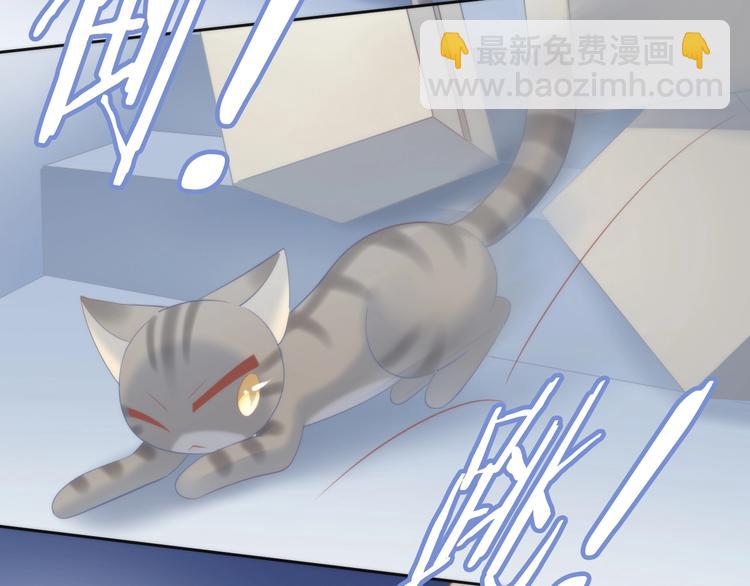 第96话 神秘小偷现身63